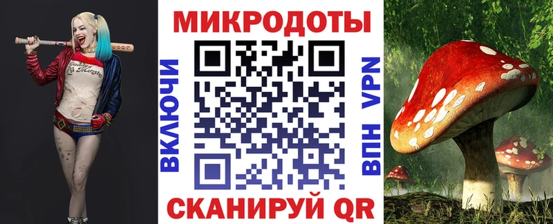 что такое Ижевск Галлюциногенные грибы Magic Shrooms